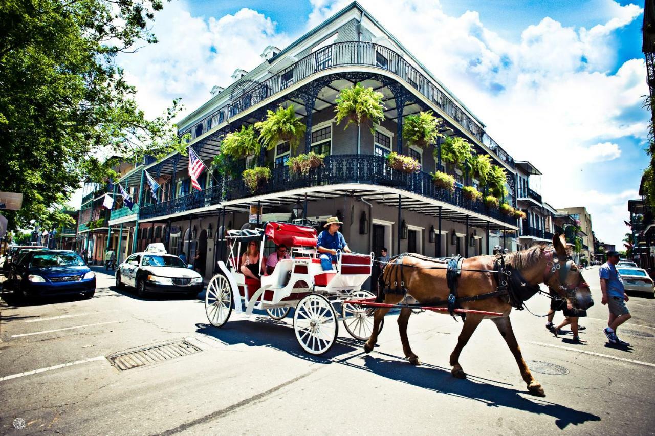 Esplanade Magic Lejlighed New Orleans Eksteriør billede